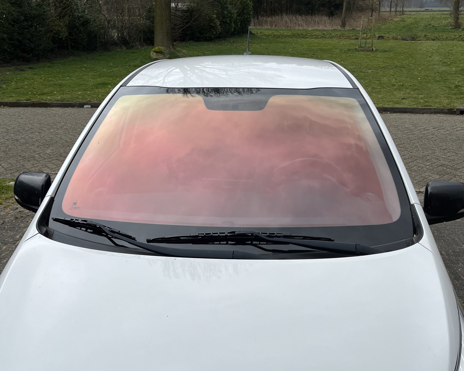 kia-rode-chameleon-sunset