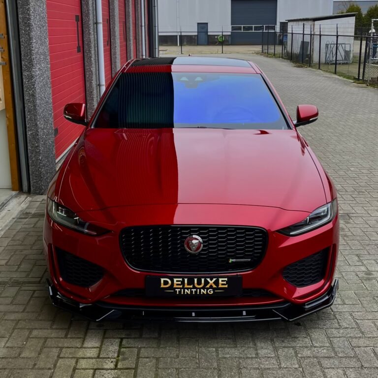 Jaguar-ramen-tinten-chameleon