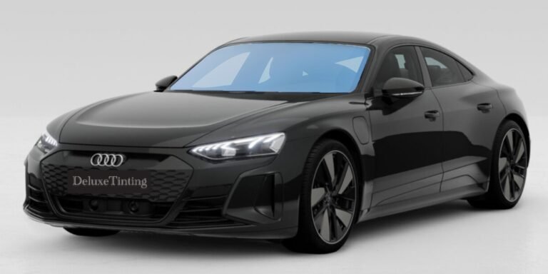 Light-blue-chameleon-voorruit