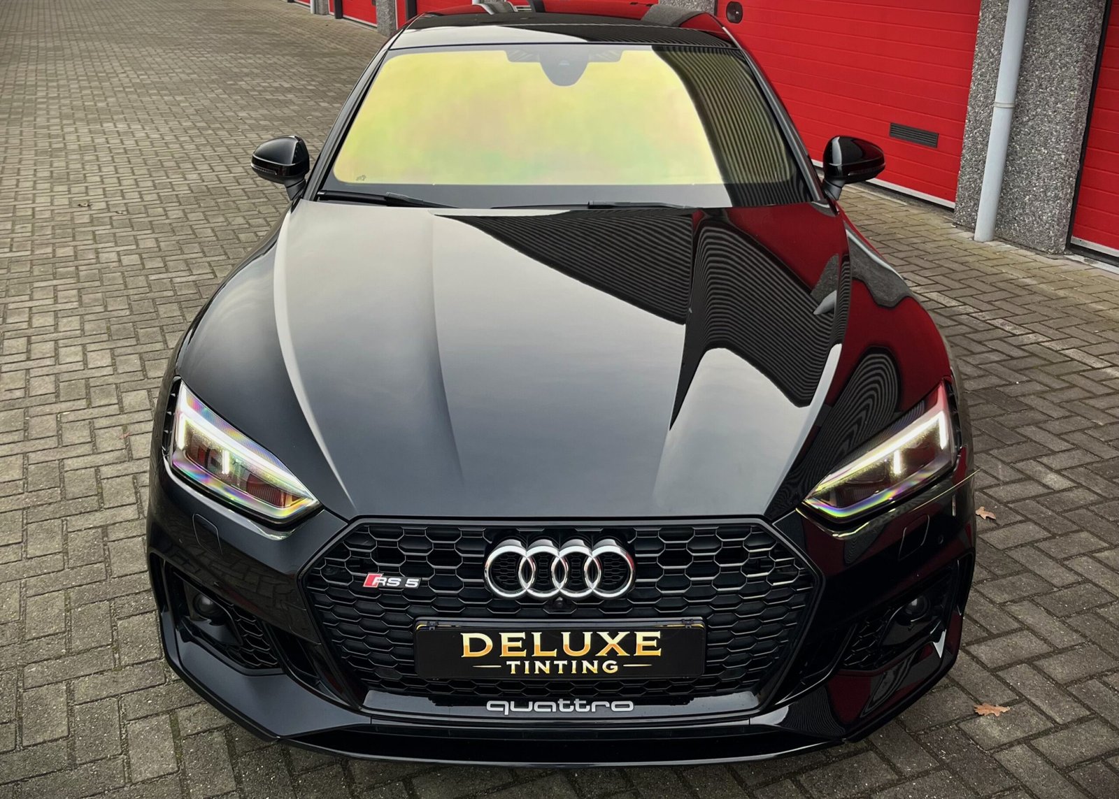 gouden-chameleon-tint-deluxetinting-emmen-voorruit